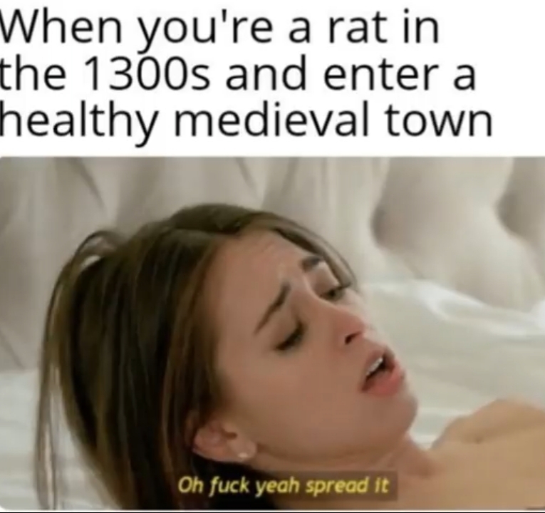 plague memes when you are a rat in the 1300s and enter a healthy medieval town 