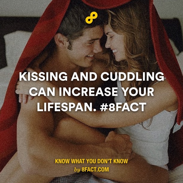rate and share funny memes! kissing,cuddling,lifespan,love,romance,8fact,fa...