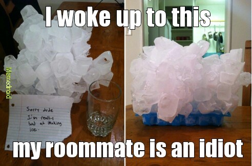 Imágenes divertidas, memes y gifs para ti. roommate,dumbass,funny,ifunnysuc...