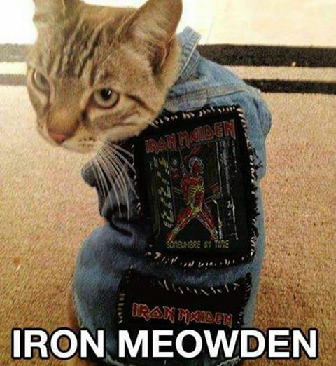 Memedroid - Images tagged as 'iron maiden' - Page 1