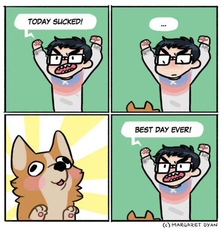 Dog Therapy Meme by lazerkitty96 ) Memedroid