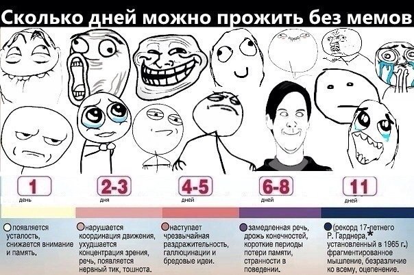 Как прожить 12 дней до дня рождения Как прожить 12 дней до дня рождения