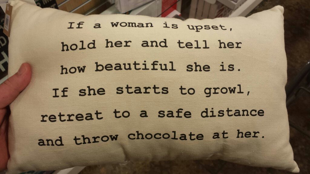 Homegoods pillow on comforting women Meme by soydolphin ) Memedroid