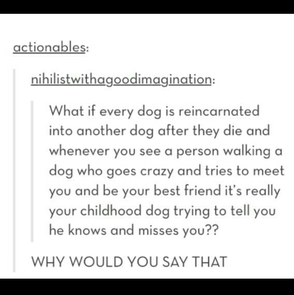 Reincarnation - Meme by johnnydem :) Memedroid