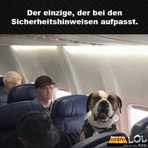 meme mail ohne anhang flugzeug