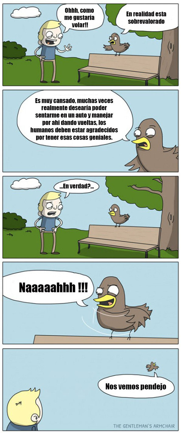 El Titulo Se Fue A Volar Meme Subido Por Rodrigorivs Memedroid