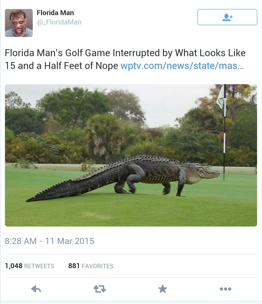 Enjoy the meme 'God damn it Florida Gator' uploaded by Aragon450....
