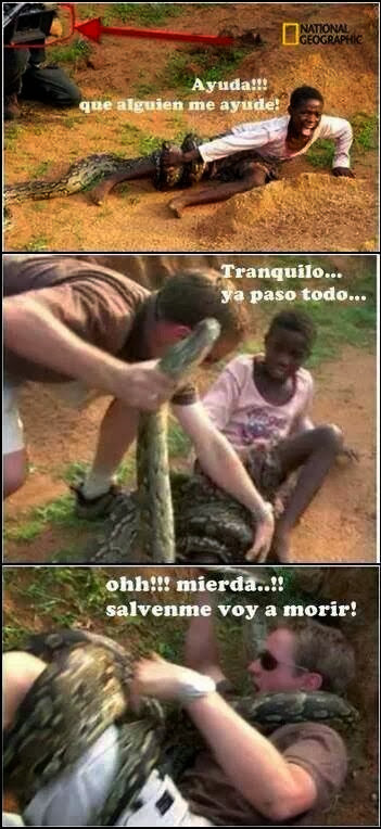 Maldita Serpiente Meme Subido Por Benjotox Memedroid