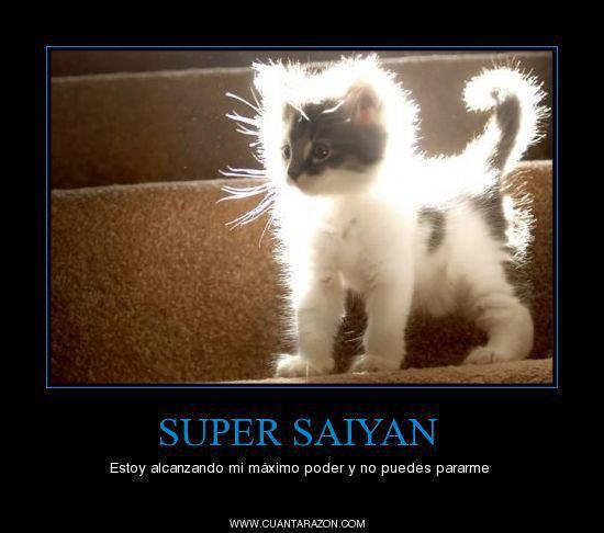Super Saiyan nivel gato - Meme by Fulano_de_Tal :) Memedroid