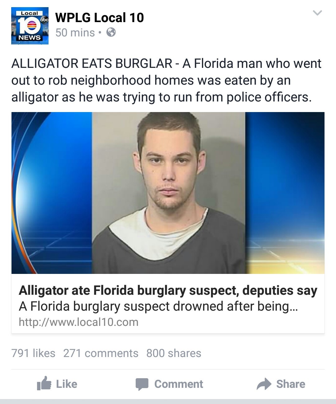 Memedroid - Images tagged as 'alligator' - Page 1