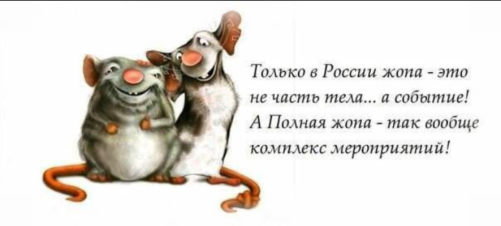Статусы веселые разные о разному Статусы веселые разные о разному