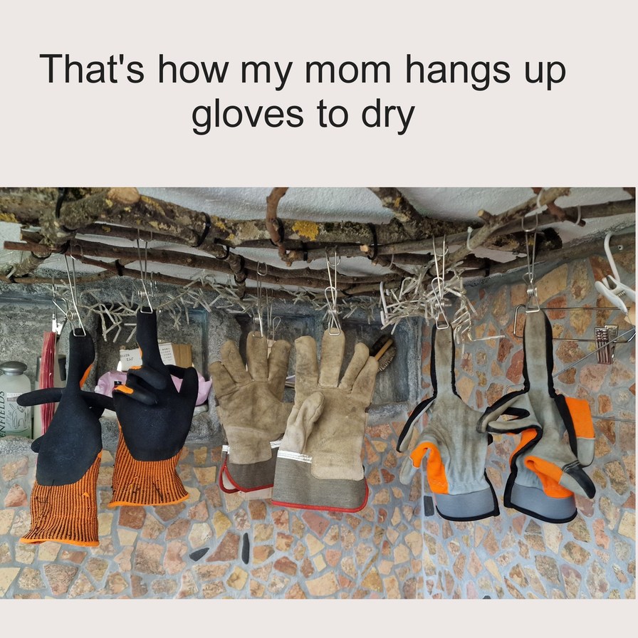 Gloves Meme By Weecat99 Memedroid