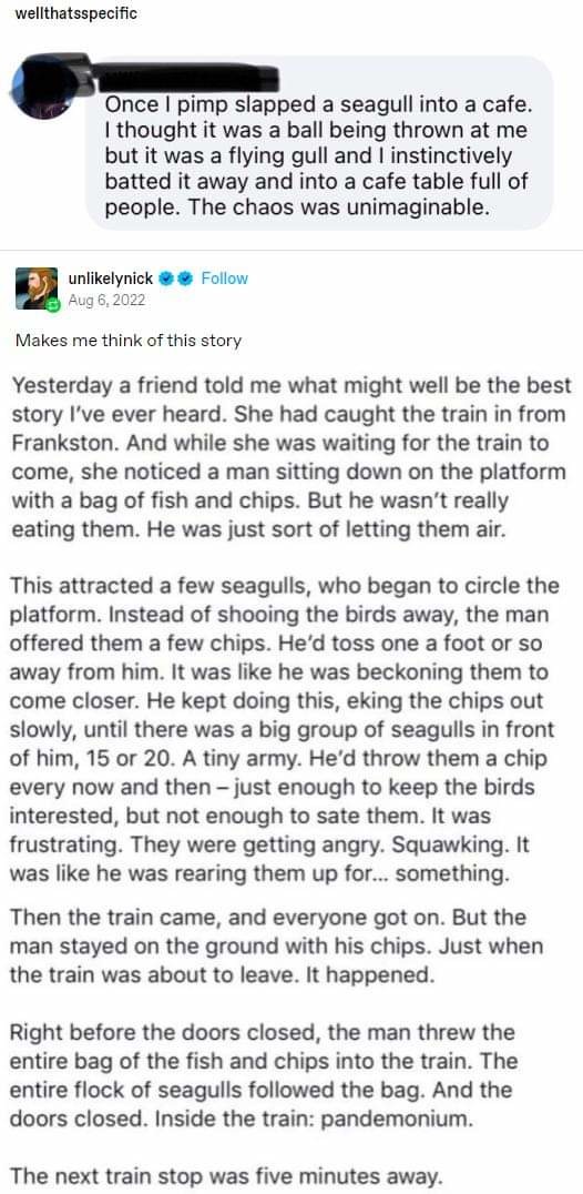 Seagull Stories Meme By Mercenary Hero Memedroid