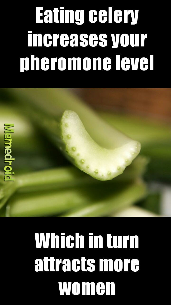 Eat all the celery! Meme by samshack97 ) Memedroid