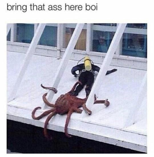 Swiggity Swooty I'm Coming For That Booty Meme Swigitty swooty, I'm coming for that booty. - Meme by san_antonio