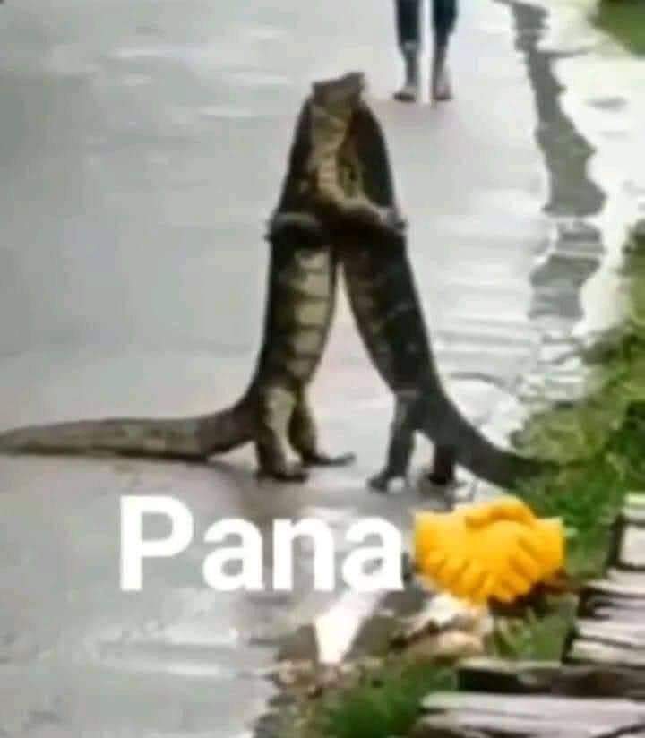 Pana - Meme by Rompeosicos. :) Memedroid