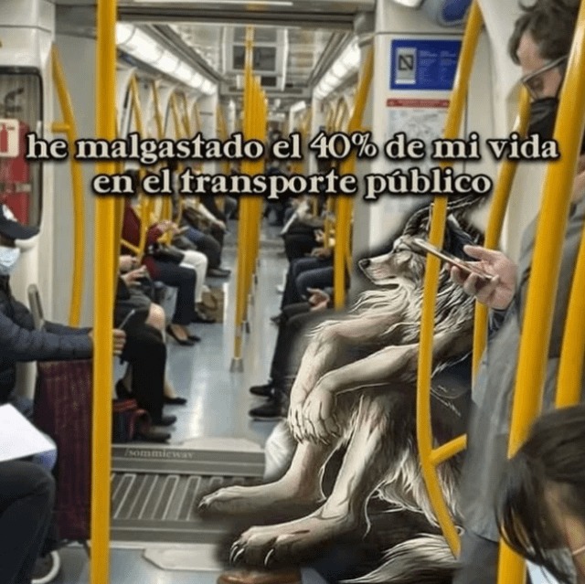 Vida En El Transporte Público Meme By Jackbusson Memedroid 3658