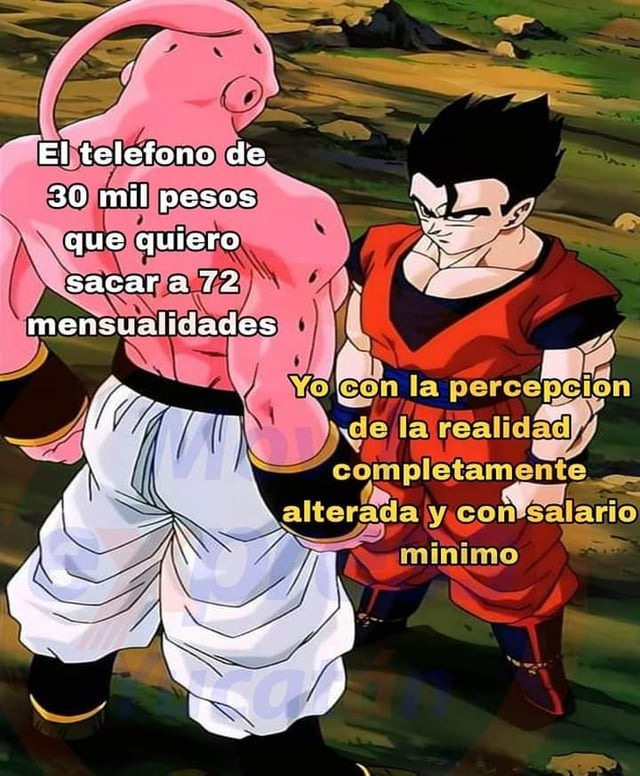 El meme de Gohan con la percepción de la realidad compeltamente