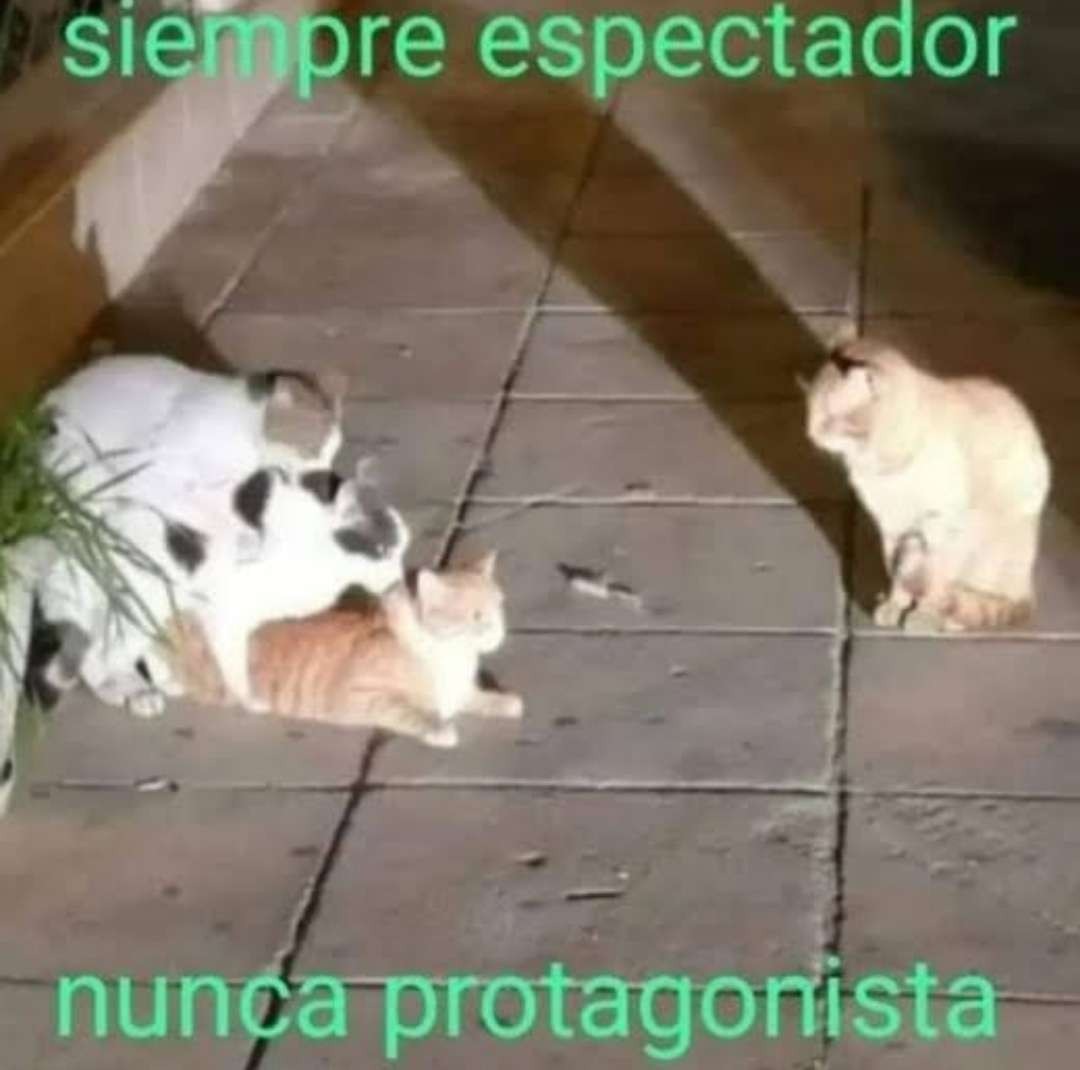 Wtf Me Acabo De Dar Cuenta Que Son 3 Meme Subido Por Angeloco3b69