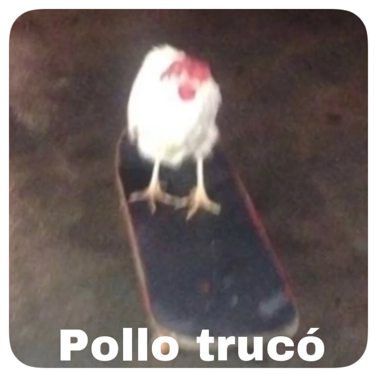 Pollo Truco Meme Subido Por Elbambi Memedroid 6235