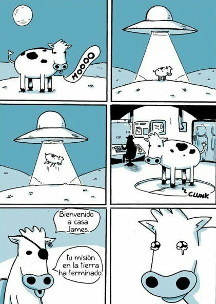 Vacas Meme Subido Por Jorgeptazeta Memedroid