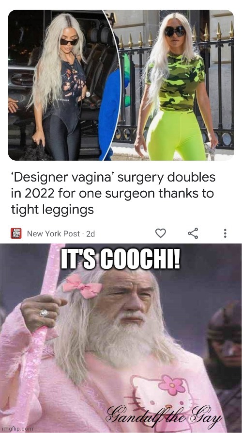 Have Anyone Had Designer Vagina How It Is Compared To Regular Meme