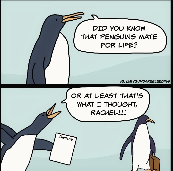 penguins Meme subido por KibblesAndBitches ) Memedroid