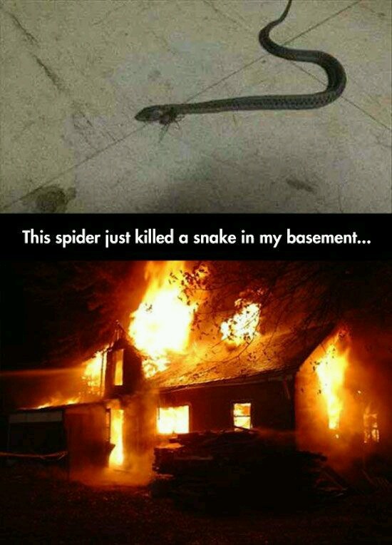 spider man hitting ground meme