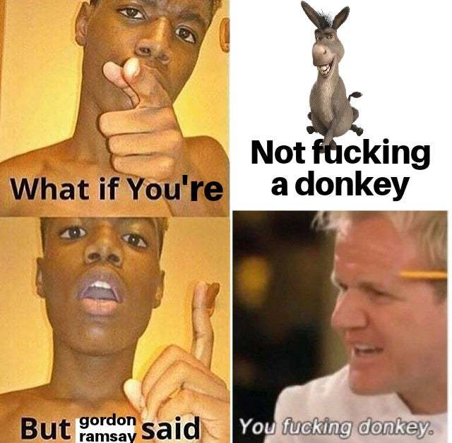 Gordon Ramsay Donkey Meme Template