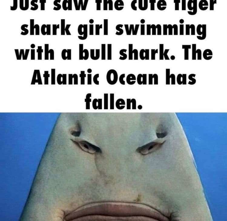 Chud - Meme by PASSWORD123456789 :) Memedroid