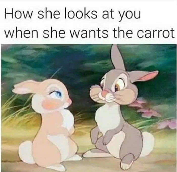 She Fucks Like A Bunny