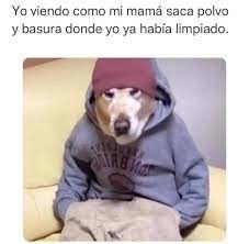 Meme Muy Perro Meme Subido Por Xtrameme Memedroid