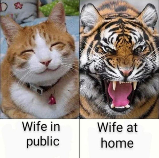 His wife at home