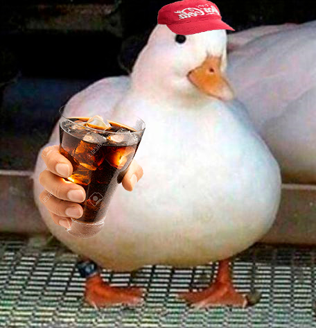 PATO - Meme subido por javitrash :) Memedroid
