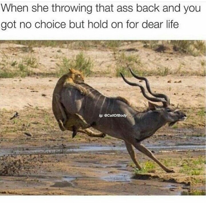 Thicc ass girl