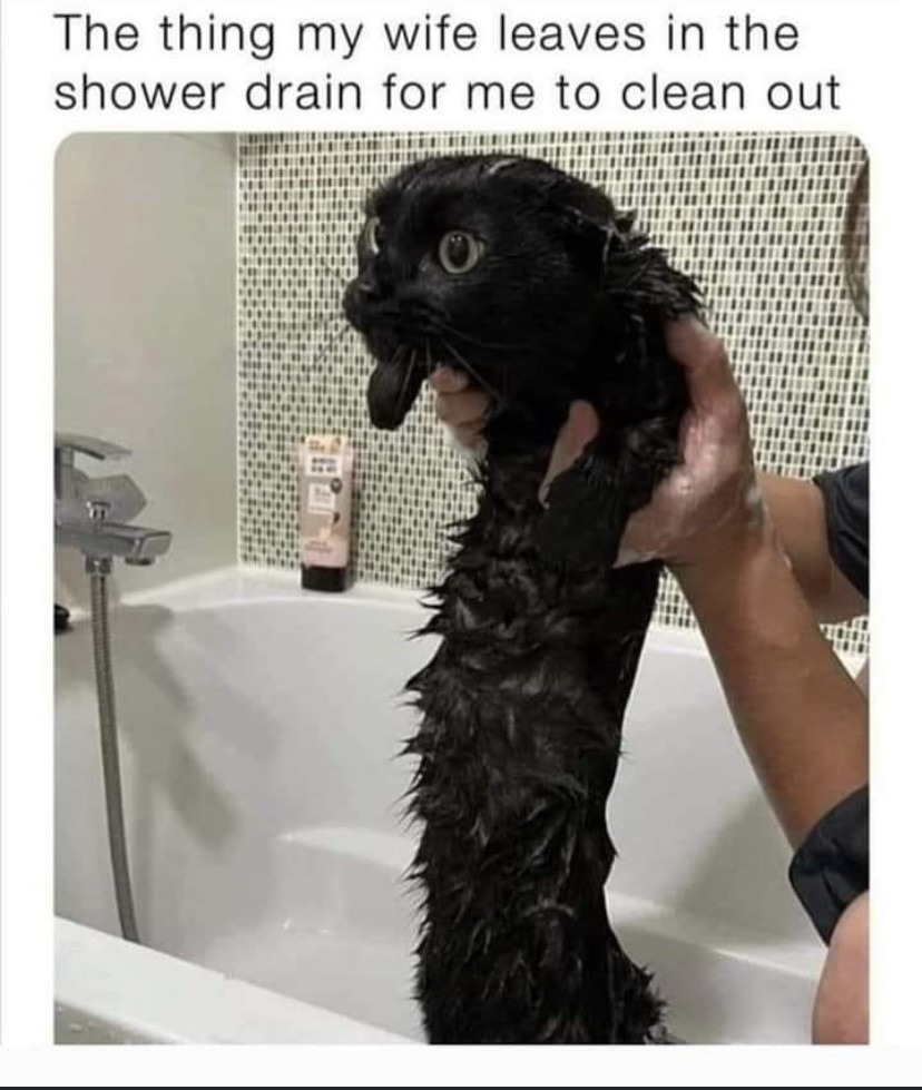 But I leave the toilet seat up and I'm the bad guy Meme by