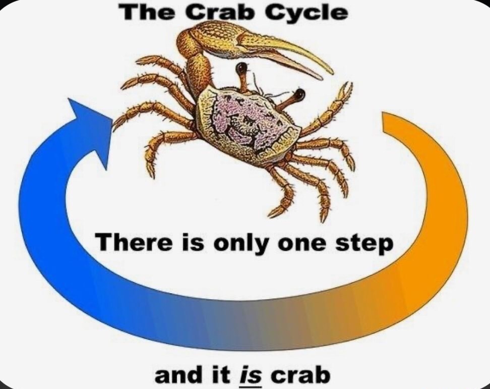 Crab Meme By Tanpaaere Memedroid