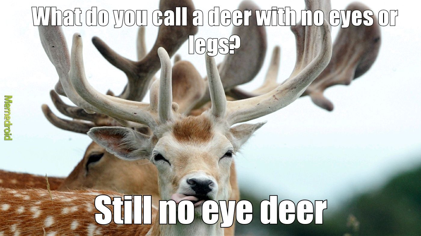 No Eye Deer Joke Trend Meme