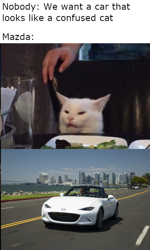 We Want A Car That Looks Like A Confused Cat Meme By