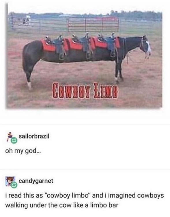 horse memes tumblr