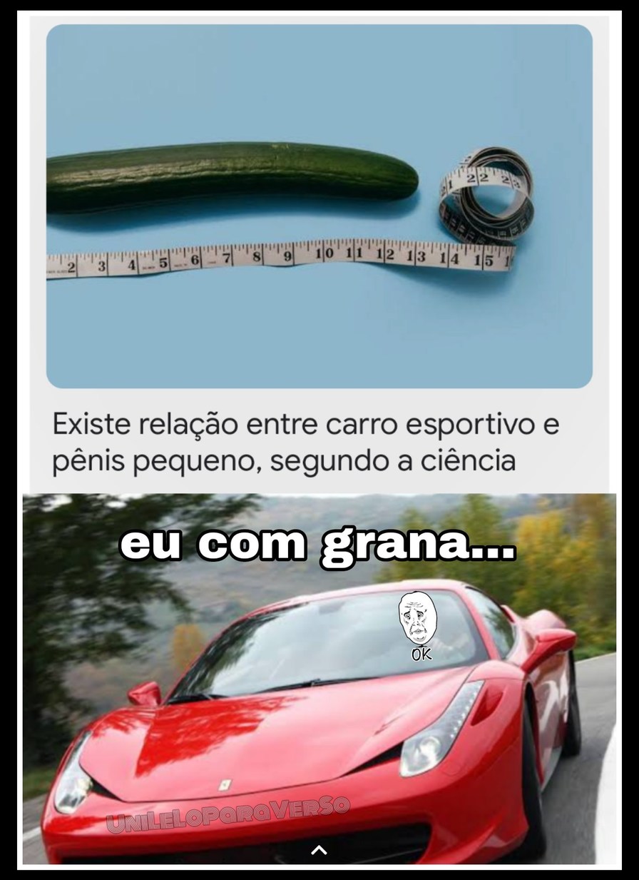 Foda Meme By Lunileloparaverso Memedroid