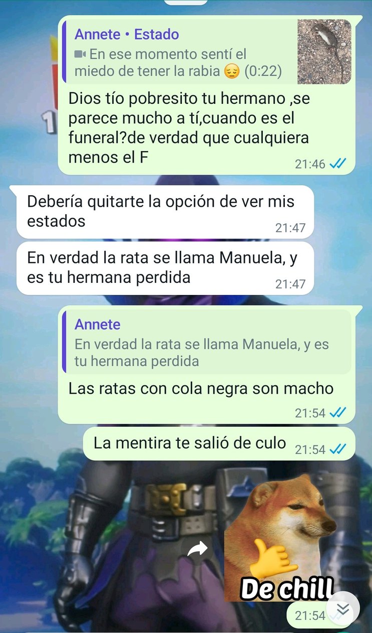 No Sab A Nada Sobre Ratas Ni Como Distinguirlas Solo Dije Eso Que Me