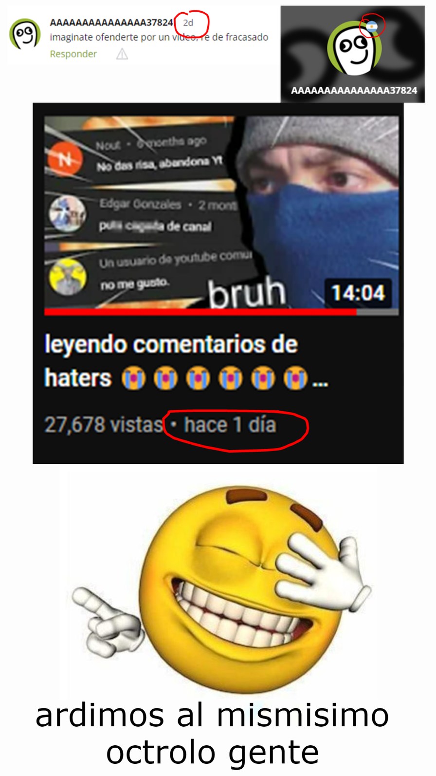 Octrolo Ardido Dedicandonos Un Video Solo Xq Lo Domamos Haters Meme