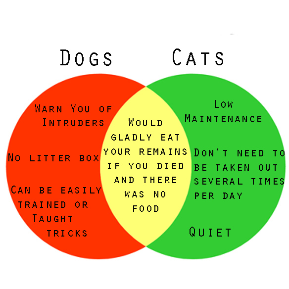 cats vs dogs compare contrast essay cats vs dogs compare contrast essay