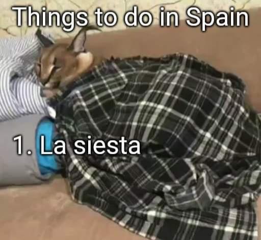 La Siesta Meme Subido Por 2r Memedroid