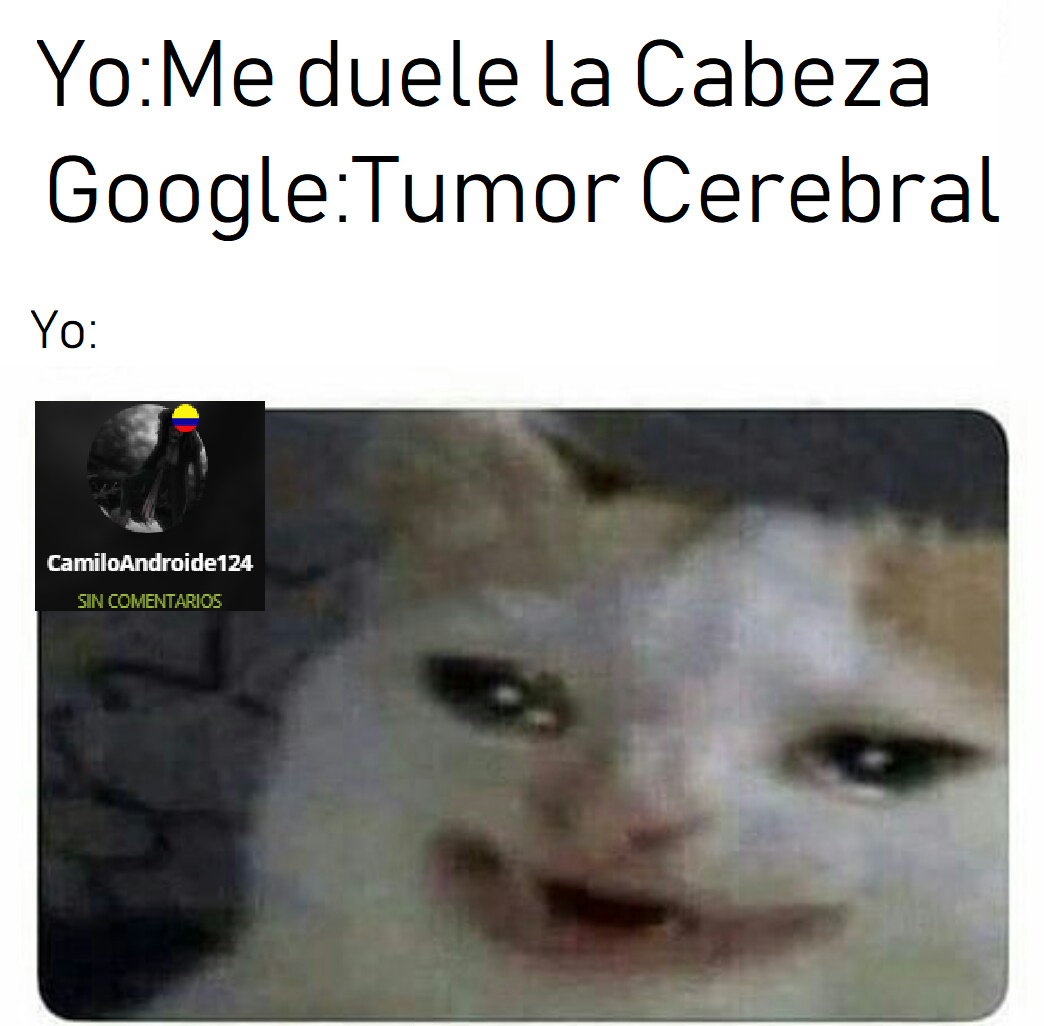 Featured image of post Meme Gato Llorando Google To learn more check out our faq