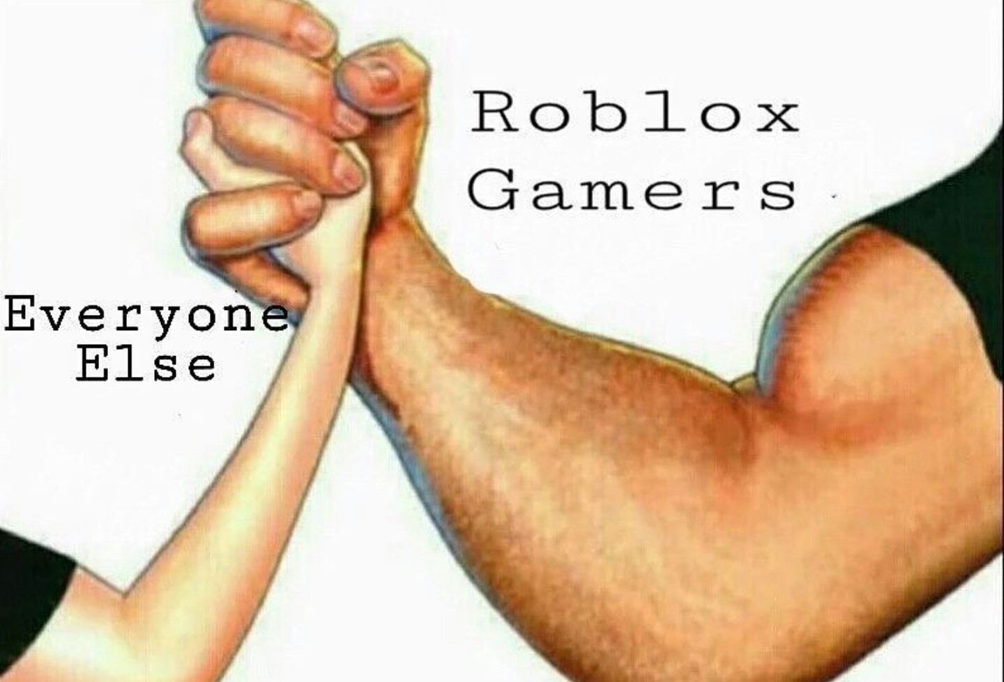 Roblox Gamer Meme