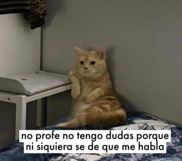 Meme De Gato Estudiante Meme Subido Por Alexisrenzo Memedroid