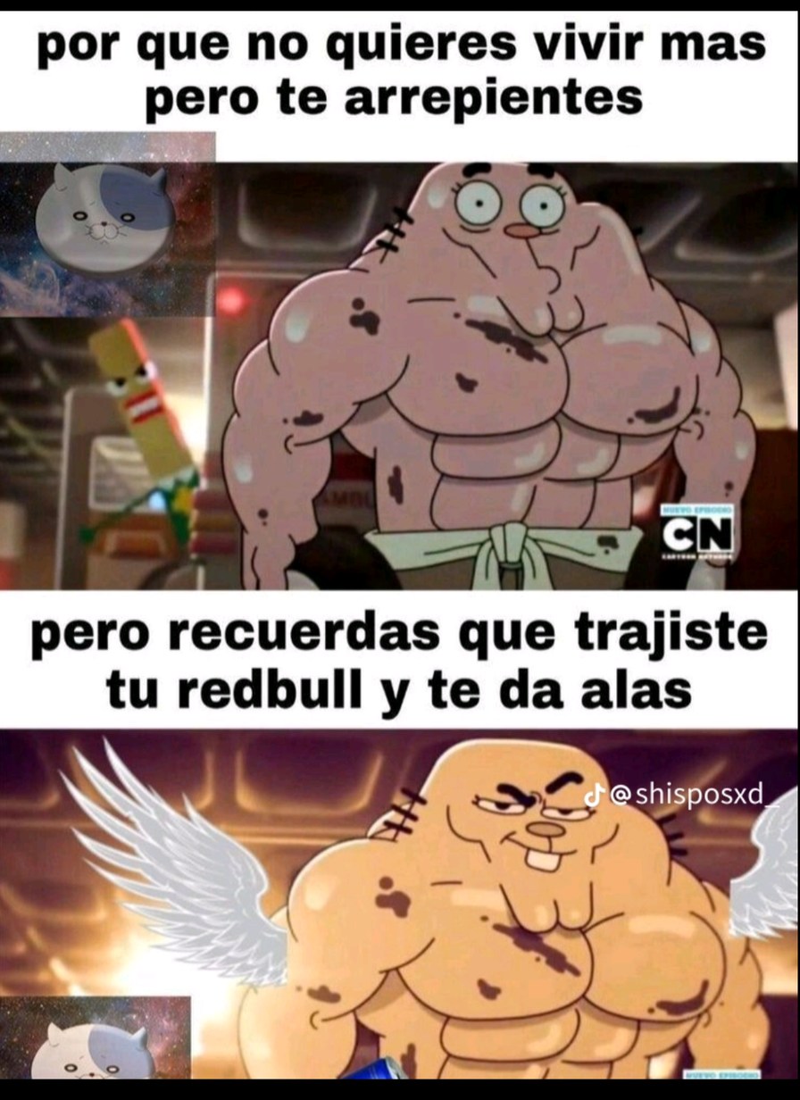 Si Meme Subido Por NiltroX Tiktokero Memedroid