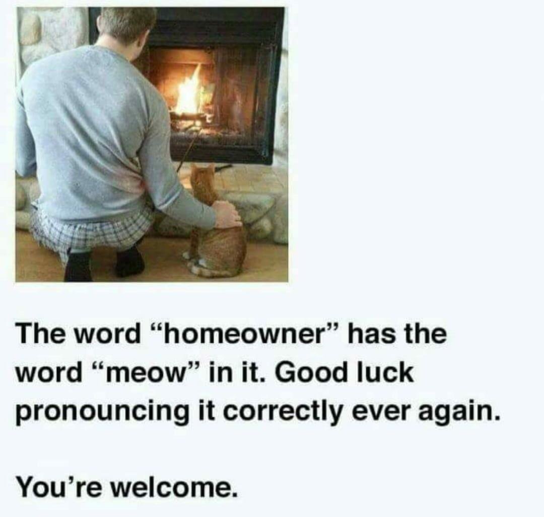 HoMEOWner Meme By XXBlitzXx Memedroid